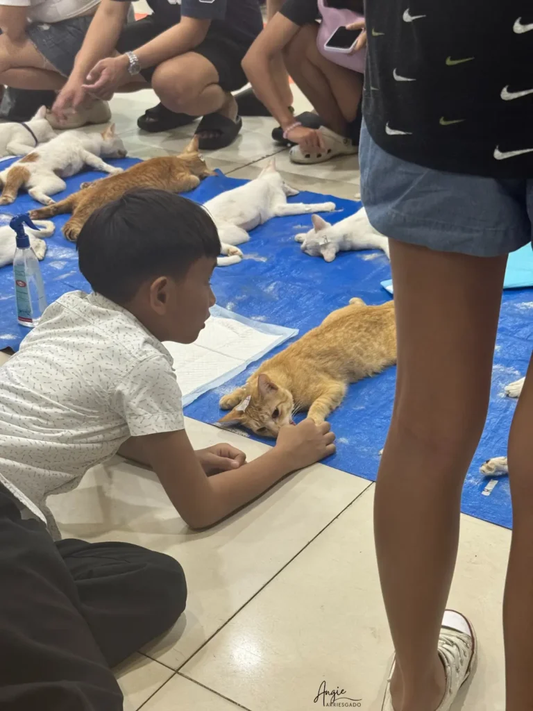 marco waiting for alexander to wake up My son waiting for Alexander to wake up