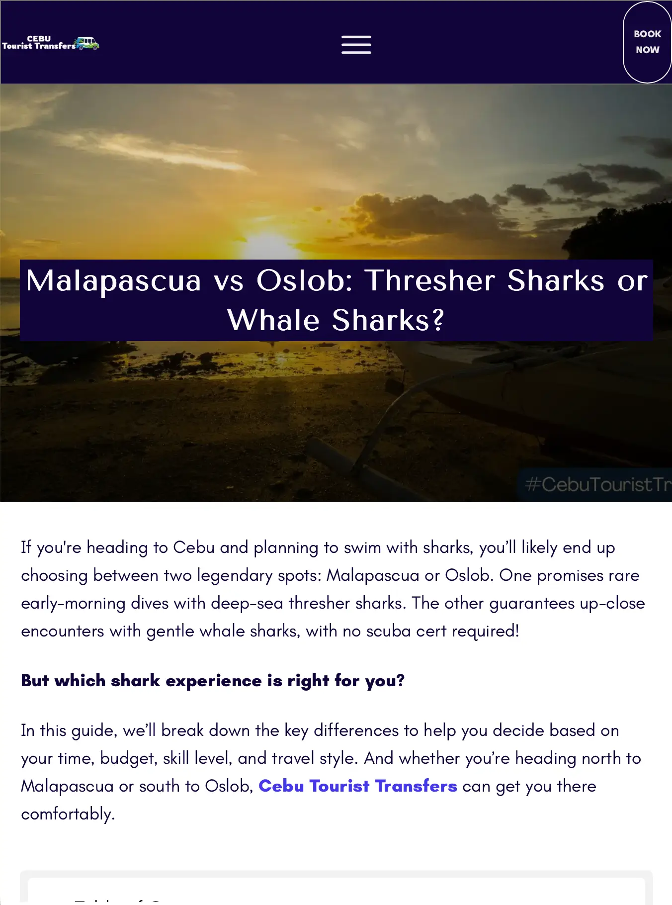 cebutouristtransfers blog example 2 cebutouristtransfers blog example 2