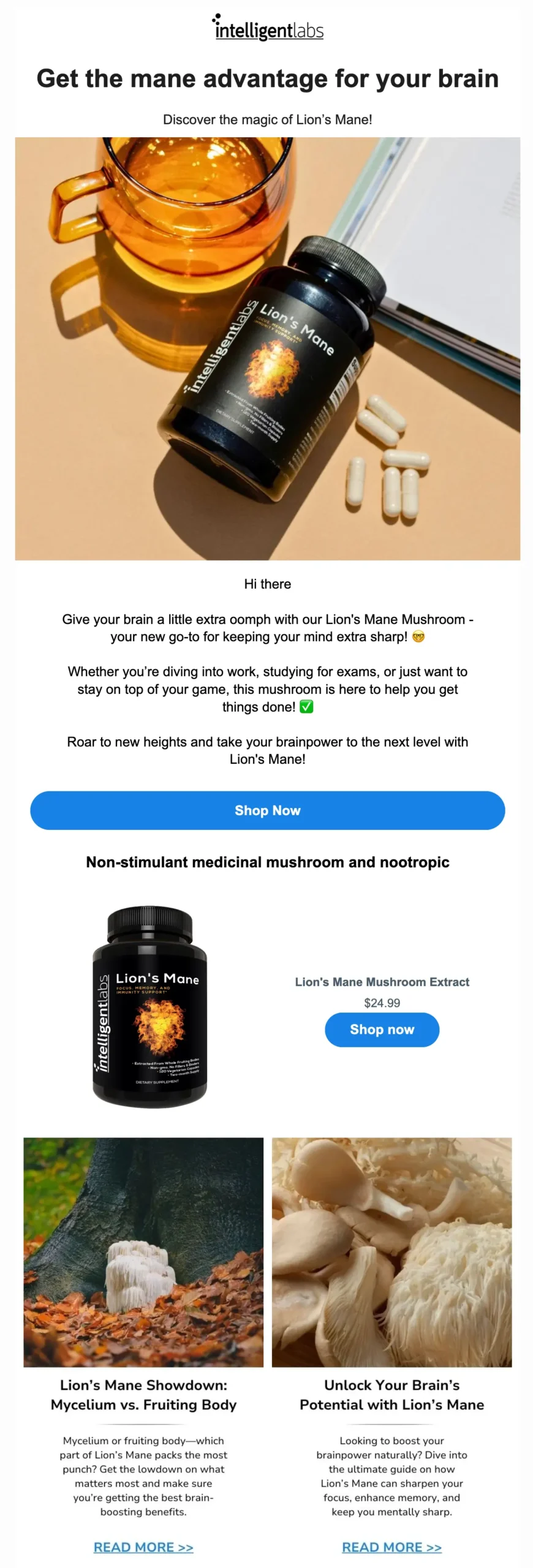 newsletter for lions mane product focus email for lion's mane